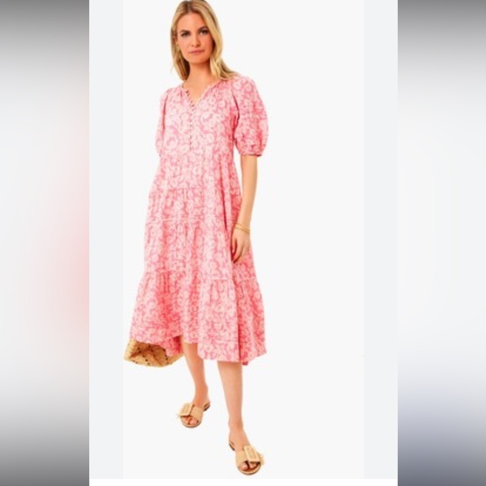 The GREAT.  Bright Rouge Wild Brush Floral The Pleated Ravine Dress